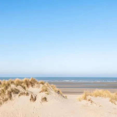 Stylish With Sunny Terrace, Cleaning Included Apartment Oostduinkerke